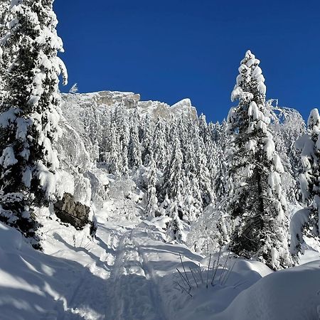Chalet Du Grand Cerf Servoz Eksteriør billede