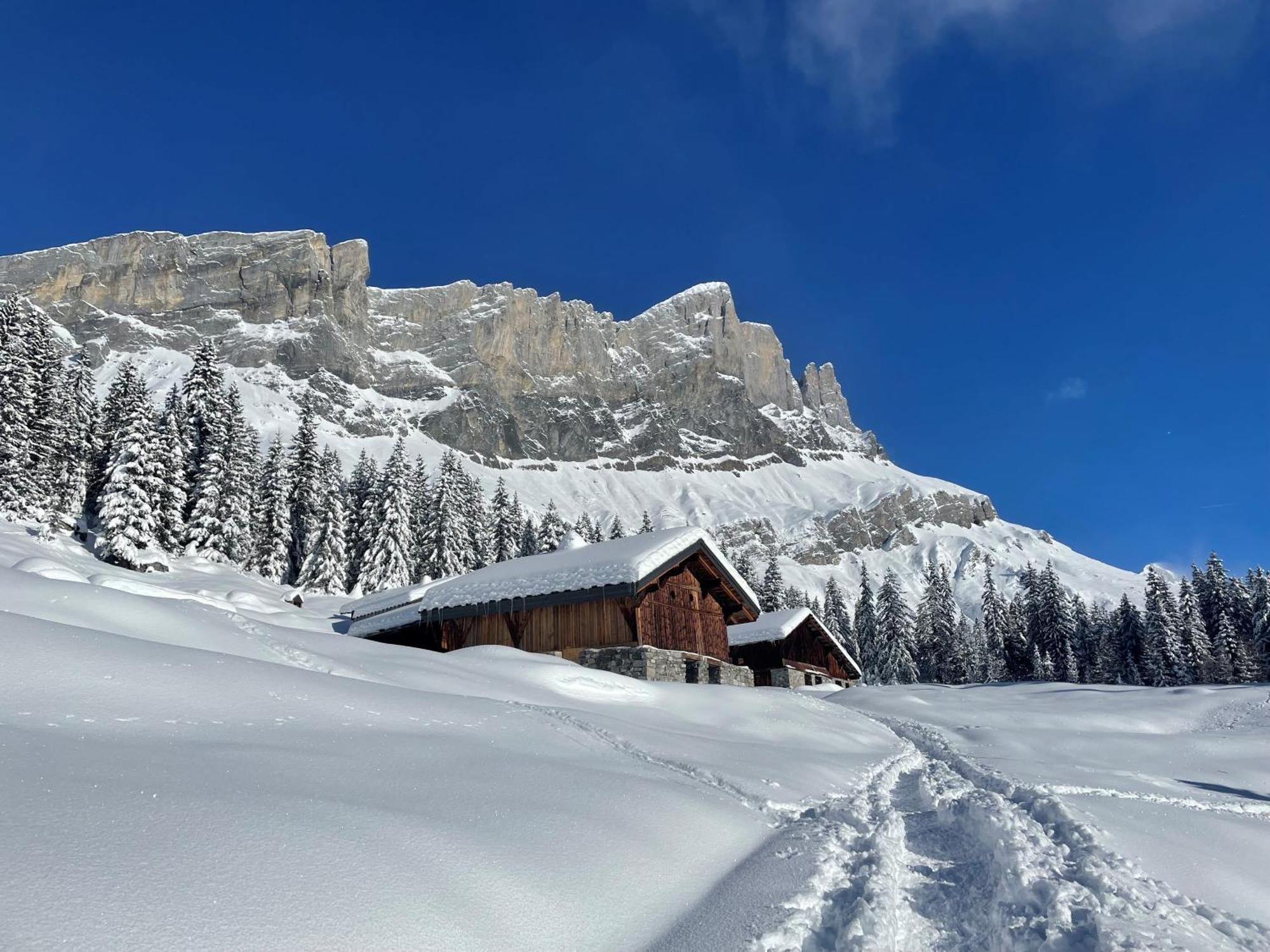 Chalet Du Grand Cerf Servoz Eksteriør billede